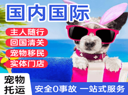 吐鲁番交河空运代理国际宠物托运 【国